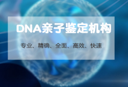杭州司法亲子鉴定程序是什么，杭州司法亲子鉴定机构电话是多少